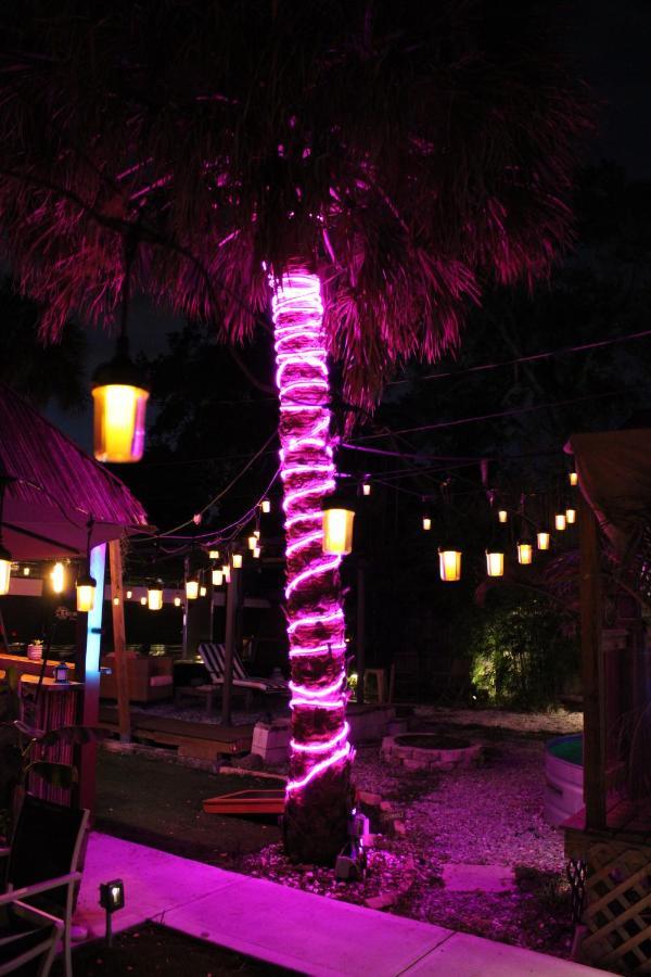 World Solo Travel'S Welcomed At St Pete Home St. Petersburg Exterior foto